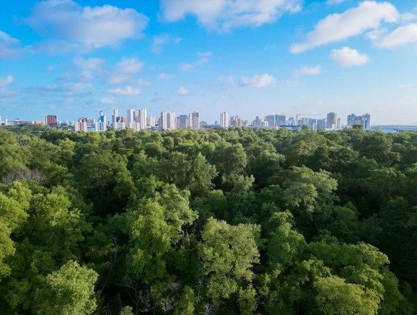 Quels sont les secrets pour composer une fugue dans le style de Bach ?